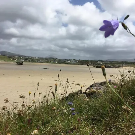 Casa de hóspedes The Clady *