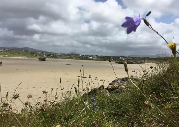 Πανσιόν The Clady *